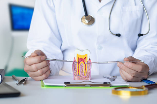 Best Tooth Infection Emergency Dentist  in West Frankfort, IL